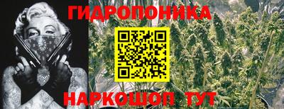 дживик Ливны