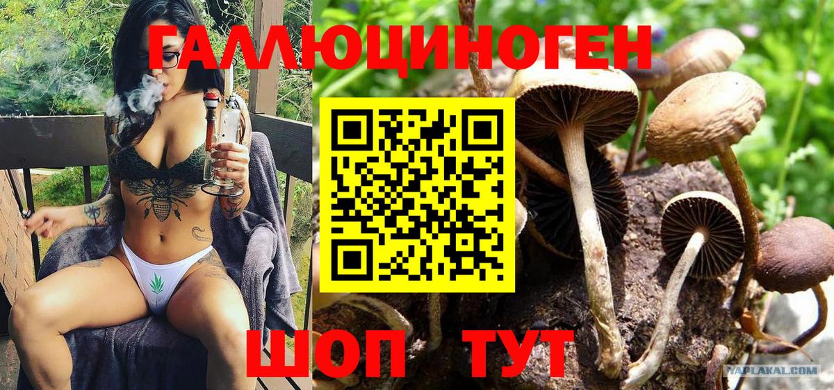 Псилоцибиновые грибы Psilocybe  Галлюциногенные грибы Psilocybine cubensis  Вход с VPN  Черкесск 